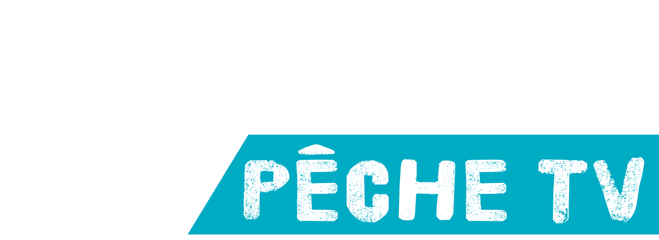 BretagnePecheTV - logo B